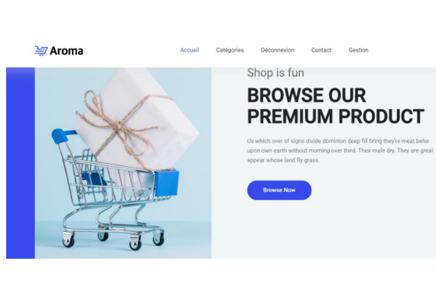 E-commerce Website - Freelance